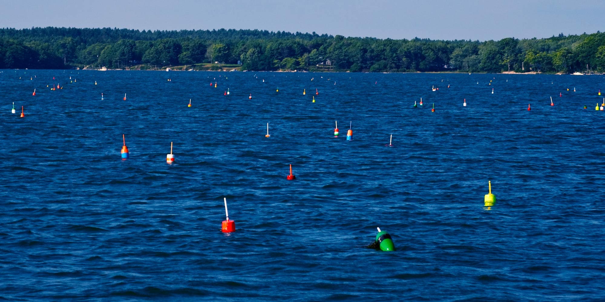 Colorful lobster buoys in Maine